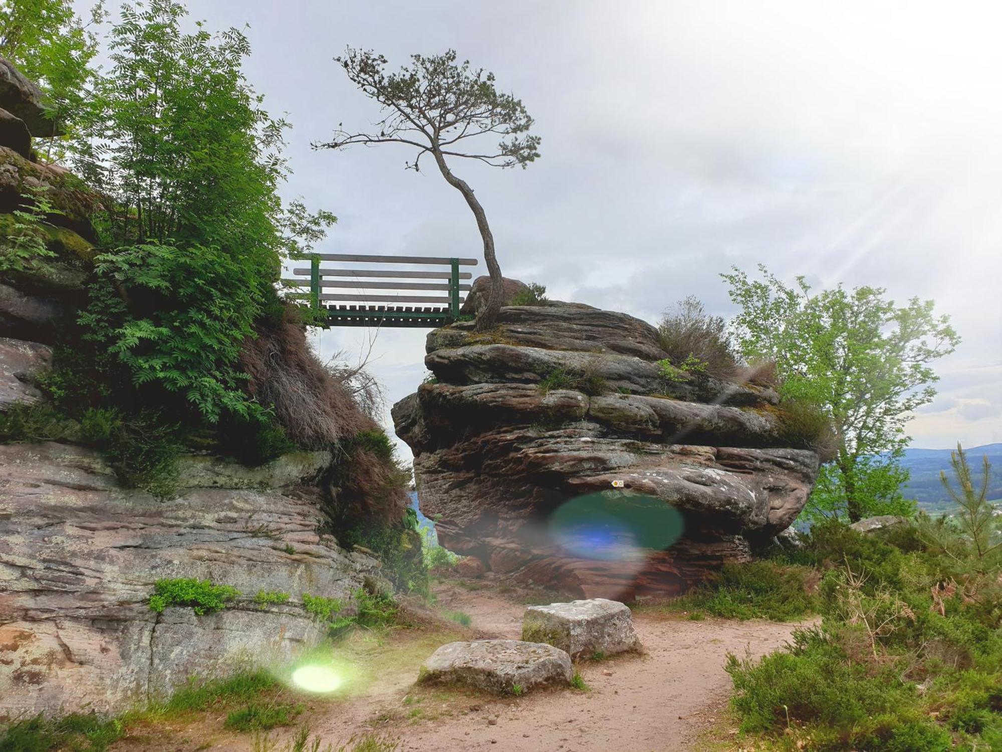 Nature & Bien-Etre Ch Bleue Nuit Etoilee Etival-Clairefontaine ภายนอก รูปภาพ
